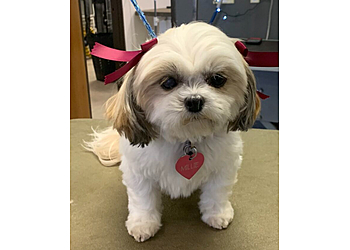 Lakewood Pet Grooming Furtastic Pet Grooming