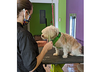 Furvana Pet Salon Nashville Pet Grooming image 1