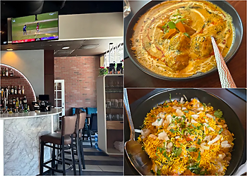 Fusion Republic Indian Kitchen and Bar - Richardson, TX Indian Restaurants - collage image(highlights)