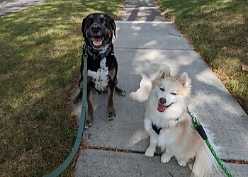 Fort Wayne Dog Walkers Fuzz Friends Pet Care Services