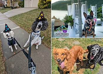 Fort Wayne Dog Walkers Fuzz Friends Pet Care Services