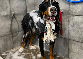 Fuzzy Feet Pet Salon - Newport News, VA Pet Grooming - Service Image