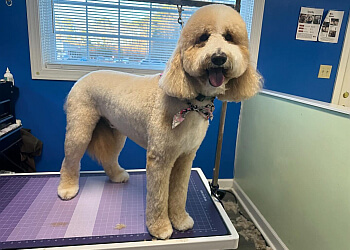 Fuzzy Feet Pet Salon - Newport News, VA Pet Grooming - Service Highlights