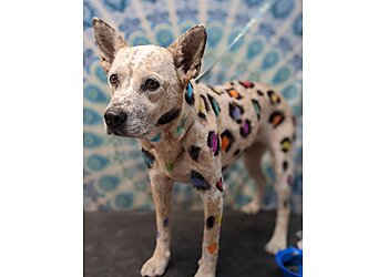 Richardson Pet Grooming Fuzzy Tails Grooming Boutique LLC