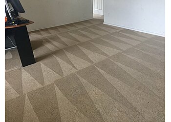 Seattle Carpet Cleaners Fuzzy Wuzzy Rug Cleaning Company