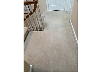 Seattle Carpet Cleaners Fuzzy Wuzzy Rug Cleaning Company
