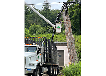Waterbury Tree Services GBE Guifarro Tree services LLC