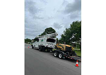 Waterbury Tree Services GBE Guifarro Tree services LLC
