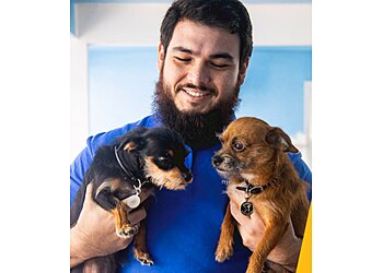 Long Beach Dog Walkers GOfetch