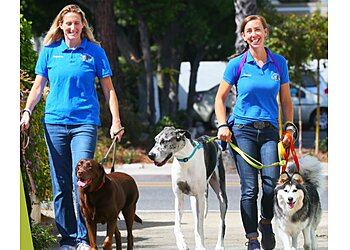 GOfetch Long Beach Dog Walkers image 1