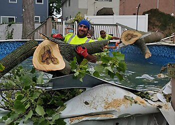 New York Tree Services G&R Tree Service