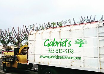 Los Angeles Tree Services Gabriel Tree Services & Landscaping