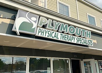 Ann Arbor Physical Therapists Gagandeep Cheema, PT, DPT, FAFS, FMR - PLYMOUTH PHYSICAL THERAPY SPECIALISTS