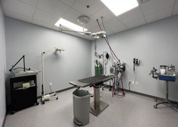 Athens Veterinary Clinics Gaines Shoal Animal Clinic