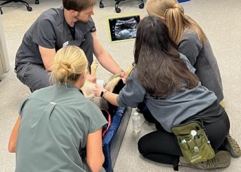 Athens Veterinary Clinics Gaines Shoal Animal Clinic