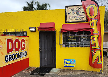 Galaviz Pet Grooming San Bernardino Pet Grooming image 1
