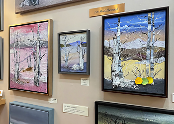 Colorado Springs Art Galleries Gallery 113
