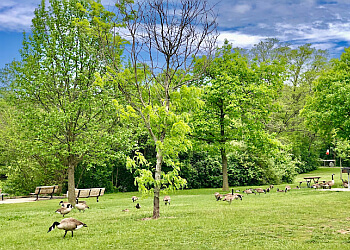 Ann Arbor Public Parks Gallup Park