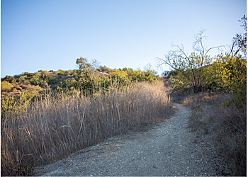 West Covina Hiking Trails Galster Wilderness Park Nature Center