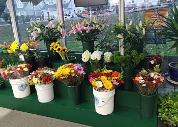 3 Best Florists in Stamford, CT - Expert Recommendations