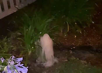 Oxnard Landscaping Companies Garcia's Landscaping & Maintenance, Inc.