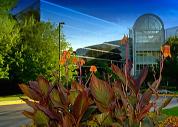 Garcia's Landscaping & Maintenance, Inc. Oxnard Landscaping Companies image 1