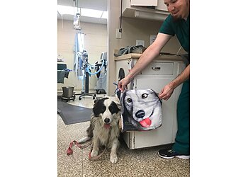 Garden Grove Veterinary Clinics Garden Grove Dog and Cat Hospital