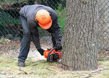 Garden Tree Services, Corp. Jersey City Tree Services