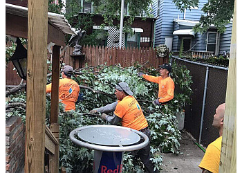 Jersey City tree service Garden Tree Services, LLC