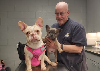 Cleveland Veterinary Clinics Gateway Animal Clinic