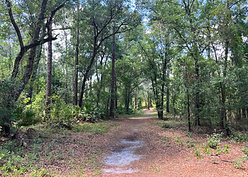 Gator Creek Reserve - Lakeland, FL Hiking Trails - Trail Image