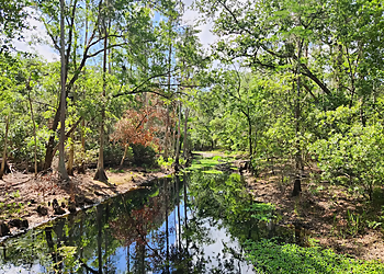 Gator Creek Reserve - Lakeland, FL Hiking Trails - Visitor Experience Image