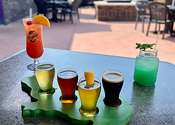 Gator Jake's Bar & Grill - Sterling Heights, MI Sports Bars - Food Image