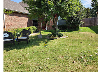 Richardson Lawn Care Services Gecko Green