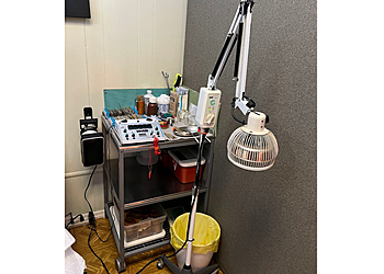Yonkers Acupuncture Gee Acupuncture & Herbs PC