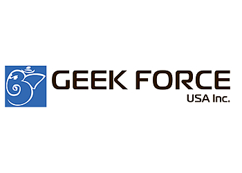 Torrance It Services Geek Force USA Inc.