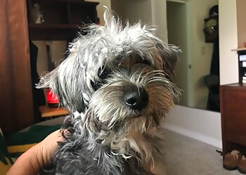 Stockton Veterinary Clinics Geisert Animal Hospital