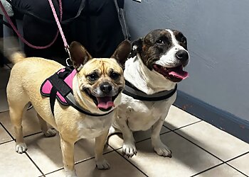 Stockton Veterinary Clinics Geisert Animal Hospital