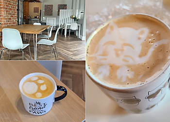 Dayton Cafe Gem City Catfé