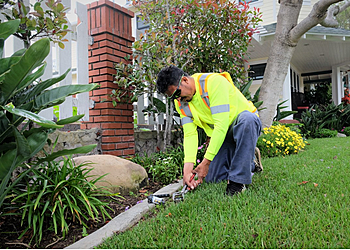 Huntington Beach Lawn Care Services Genaro Landscape