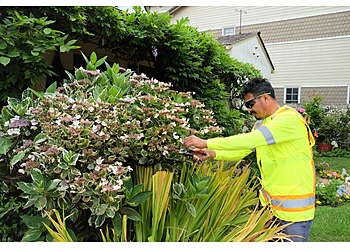 Huntington Beach Lawn Care Services Genaro Landscape