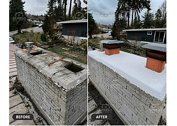 Genesis Home Services LLC - Seattle, WA Chimney Sweep - Project Completion Image