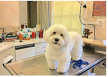 Fort Lauderdale Veterinary Clinics Gentle Care Animal Hospital