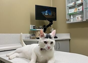 Omaha Veterinary Clinics Gentle Doctor Animal Hospital