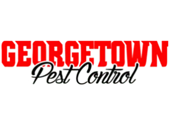 Georgetown Pest Control Round Rock Pest Control Companies image 1