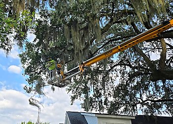 Savannah Tree Services Georgia Tree Solutions Group, LLC