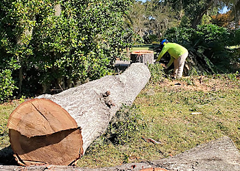 Savannah Tree Services Georgia Tree Solutions Group, LLC