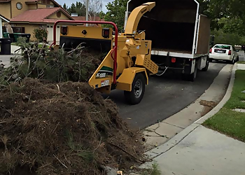 Corona Tree Services German Tree Care