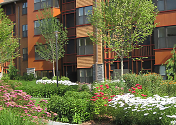 Costa Mesa Tree Services Ghai's Inc.