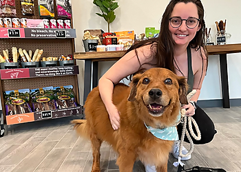 Gilbert Dog Grooming - Gilbert, AZ Pet Grooming - Field Work Image